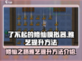 了不起的修仙模拟器⚡雅艺快速提升秘籍🔥