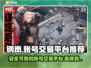 钢岚账号交易平台推荐💥游戏党必看！🔥