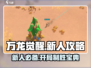 万龙觉醒🔥新手必看！快速开荒攻略💎