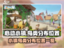 心动小镇🔥必看！鸟类分布位置全揭秘🦜