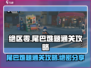 绝区零🔥尾巴难题通关攻略🌟轻松搞定！