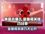 我是小鱼儿金鱼通关秘籍🔥超全关卡玩法分享！🐟