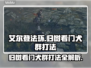 艾尔登法环：归树看门犬群打法🔥一招制胜！🐶✨