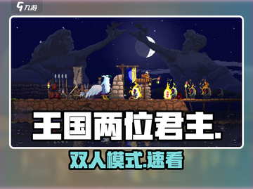 🎮《王国两位君主》双人模式按键揭秘！截图1