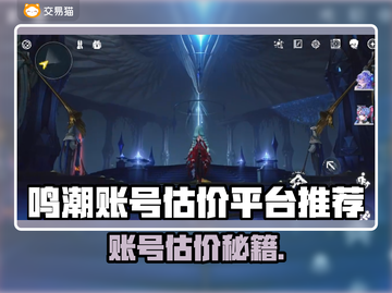 🔥《鸣潮》账号值多少？估价神器大公开💥截图1