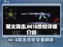 和平精英🔥H416突击步枪全面解析，萤火突击必备神器！