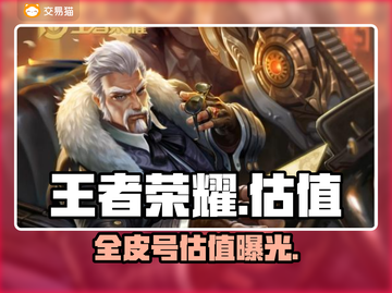 王者荣耀全皮号值多少💰截图1