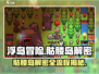 浮岛冒险骷髅岛解密全流程大公开！🎮 Skull Island等你来挑战🔥