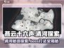 燕云十六声🔥清河BOSS打法攻略，速来秒杀！💥