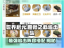 世界启元🔥蔷薇之心追击队阵容曝光！💥游戏党必看