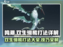 鸣潮🔥双生翎鹭打法详解，轻松通关秘籍！🎉