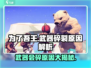为了吾王✨：武器会碎真相大揭秘！