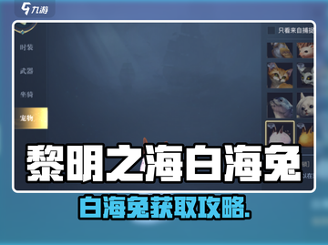 🎮《黎明之海》白海兔获取攻略！稀有宠物轻松拿截图1
