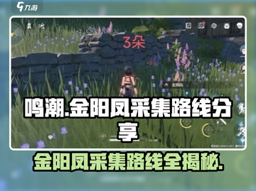 鸣潮🔥金阳凤采集路线全揭秘！👉快来看看 :";
截图1