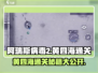 阿瑞斯病毒2🔥黄四海通关秘籍，全流程详解！