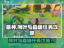 原神💎荷叶与森林任务超简单攻略来啦！