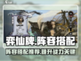 弈仙牌🔥阵容搭配推荐，这样组合无敌了！