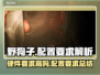 《野狗子》硬件要求高吗？配置低照样玩✅