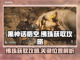 黑神话悟空：佛珠获取全攻略🔥猴王必备！截图1