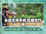 永劫无间手游：陀螺仪🔥必备，操作瞬间拉满！