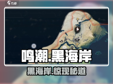 【鸣潮】黑海岸速通秘籍🌊截图1