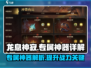 龙息神寂：专属神器大揭秘🔥游戏党必看！