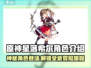 原神：星落希尔角色揭秘🔥带你领略游戏新魅力！