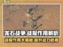 龙石战争🔥战报作用大揭秘！助你制胜关键💡
