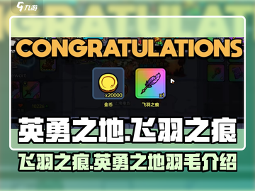 英勇之地飞羽之痕🔥超强羽毛解析🎮截图1