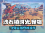 《沙石镇时光》宠物指令大揭秘🐶