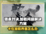 猎杀对决加载卡顿？❌教你一招搞定⚡