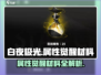 白夜极光💥属性觉醒材料大揭秘！🔥