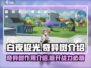 白夜极光奇异树🔥超全介绍来啦！✨