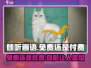 《倾听画语》免费与否大揭秘！🎮🔥