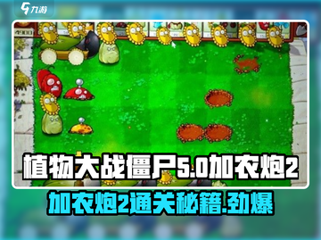 植物大战僵尸杂交版加农炮2通关秘籍🔥游戏技巧大公开！截图1
