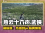 燕云十六声🔥不是吃鸡！是什么类型游戏？真相在这里！