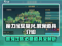 魔力宝贝复兴版🔥抓宠必备道具大揭秘！