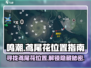 鸣潮🔥鸢尾花位置全攻略💎快速获取不迷路！