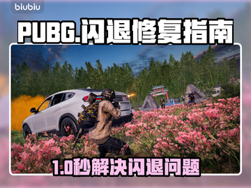 🔥 PUBG闪退救星！加速器推荐来啦 🎮截图1