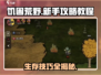 🔥饥困荒野新手必看！游戏攻略大公开🎮