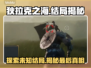 狄拉克之海结局大曝光🔥游戏玩家必看！