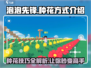 泡泡先锋种花技巧大公开！🌸游戏高手必看✨