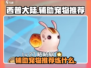 西普大陆🔥辅助宠物推荐｜练宠攻略🎉