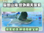 妄想山海💥世外洞天探索全攻略✨
