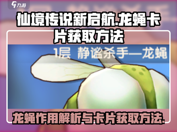 仙境传说新启航🔥龙蝇卡片获取全攻略✨截图1