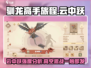 🔥驯龙高手旅程云中跃：强度分析💡游戏必备！