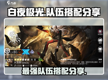 白夜极光最强队伍搭配🔥一招制胜！截图1