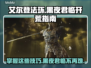 艾尔登法环🔥黑夜君临开荒技巧全攻略💡新手必看！