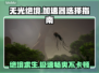 无光绝境🔥加速器推荐，选对轻松制胜！🎮