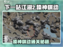 《下一站江湖2》猿神棋动奇遇攻略来啦！🎮✨